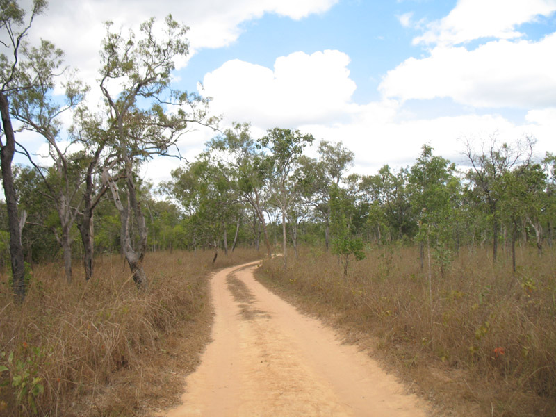 Lakefield National Park - Walkabout